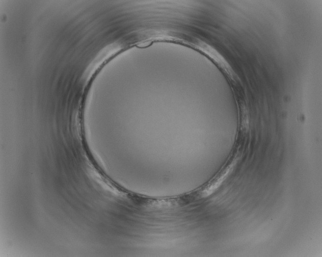 X0000074310806200609152005