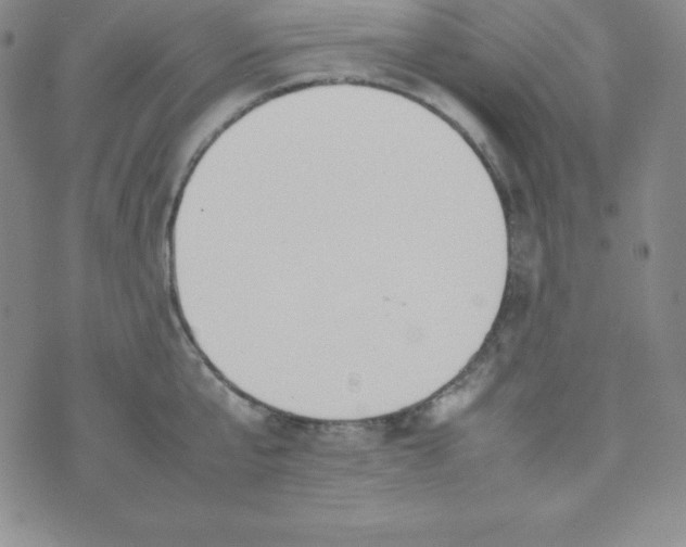 X0000074310807200609152005