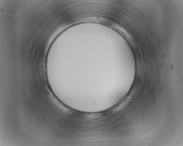 X0000074310808200609152005