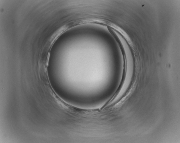 X0000074310809200609152005