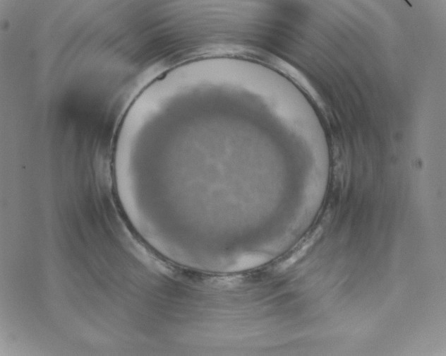 X0000074310810200609152005