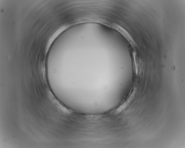 X0000074310812200609152005