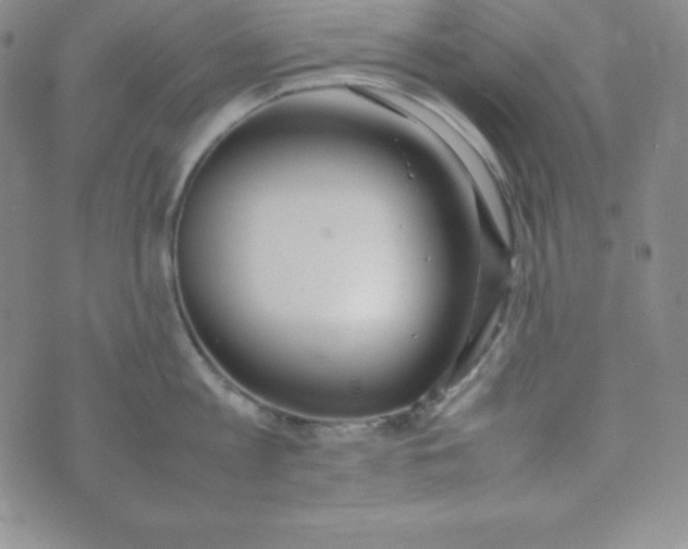 X0000074310813200609152005