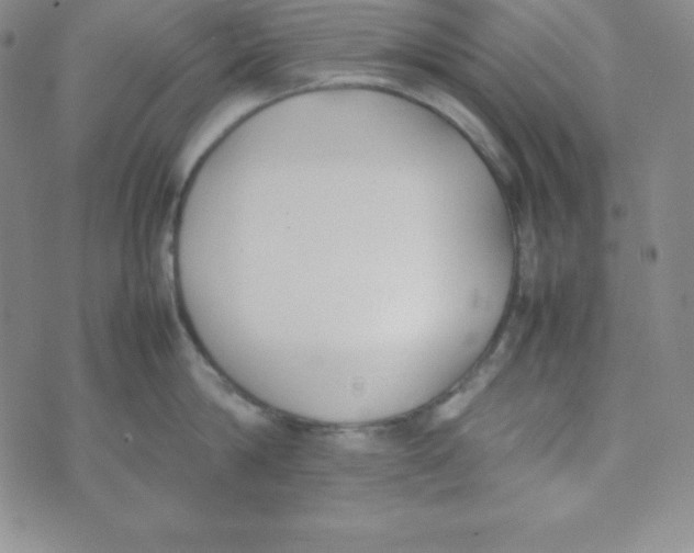 X0000074310814200609152005