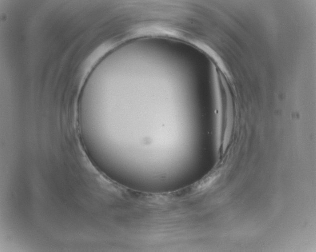 X0000074310815200609152005