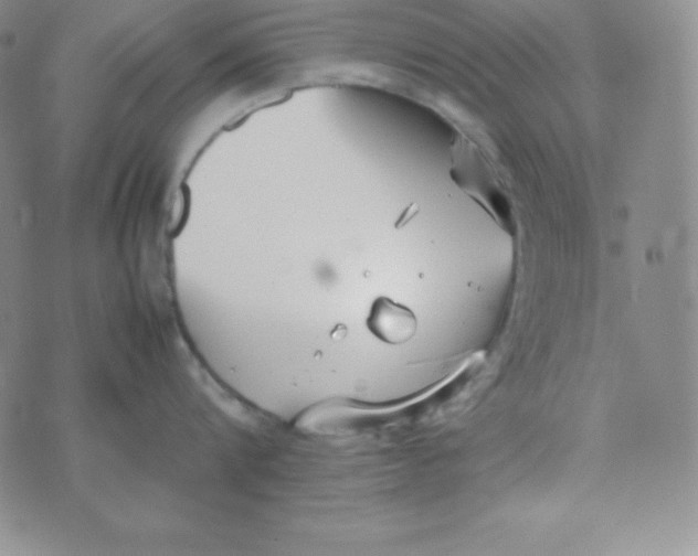 X0000074310816200609152005