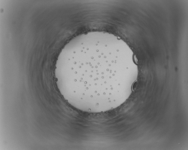 X0000074310817200609152004