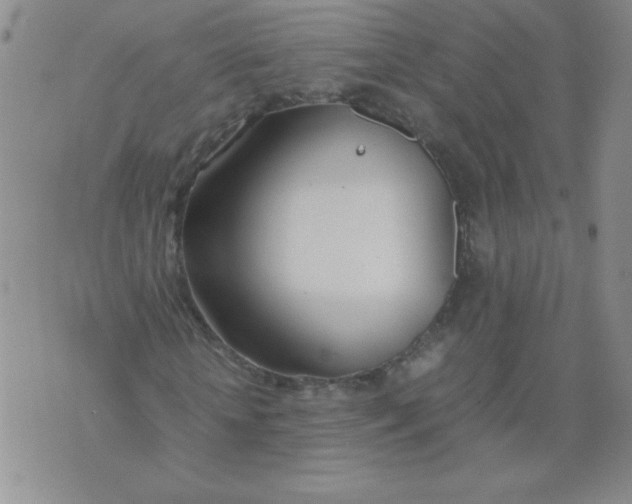 X0000074310818200609152004