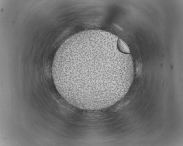 X0000074310819200609152004