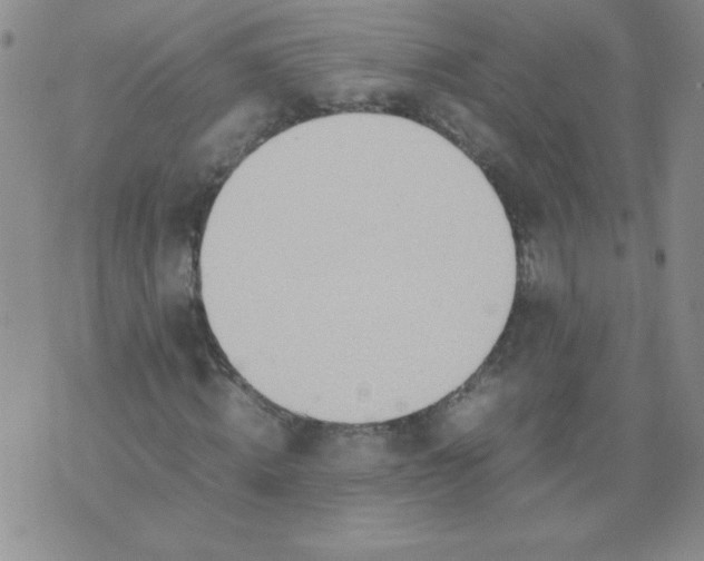 X0000074310820200609152004