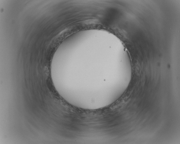 X0000074310821200609152004