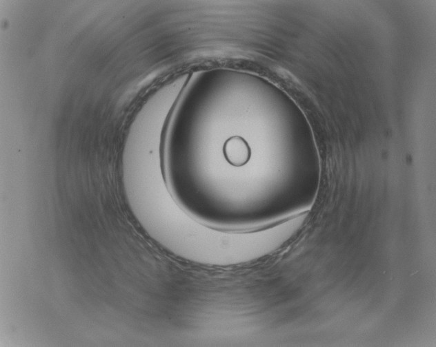 X0000074310822200609152004