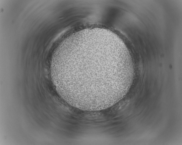 X0000074310823200609152004