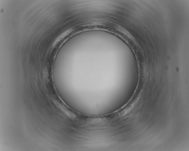 X0000074310826200609152004