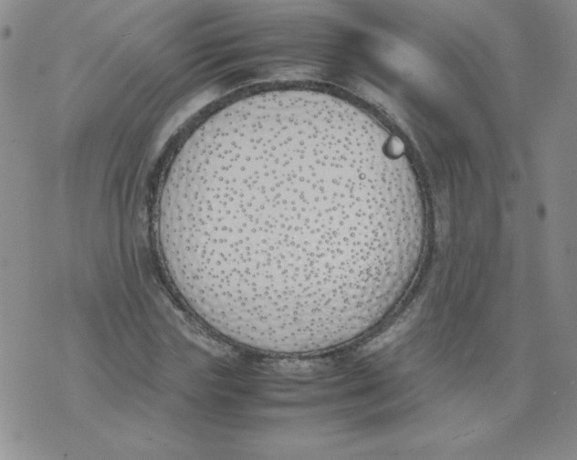 X0000074310827200609152004