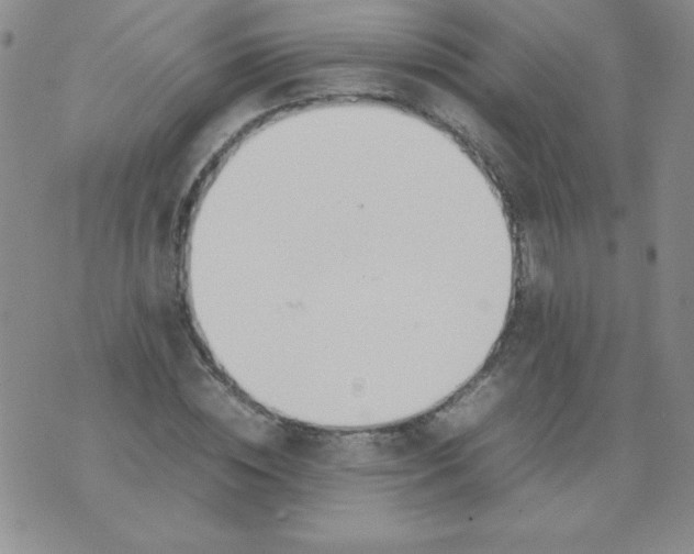 X0000074310828200609152004