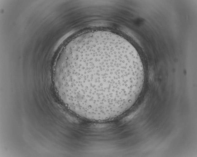 X0000074310829200609152004