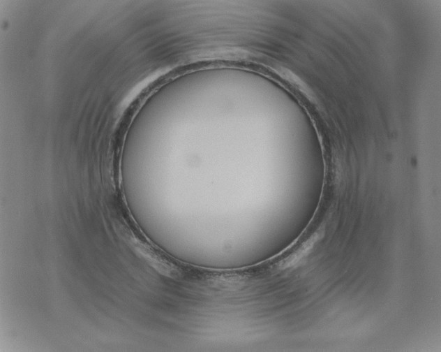 X0000074310830200609152004