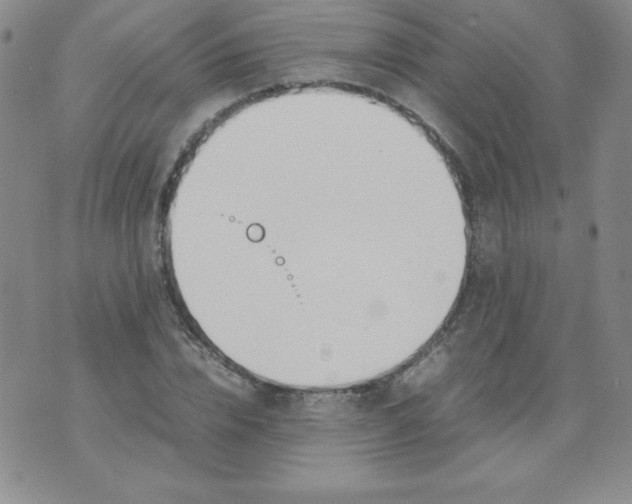 X0000074310832200609152005