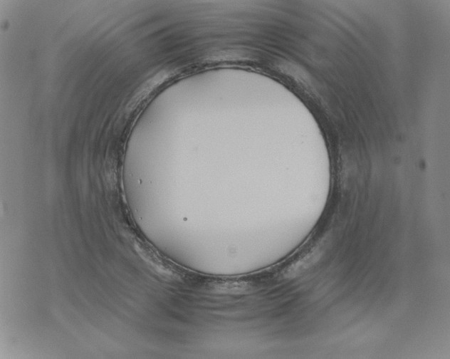 X0000074310833200609152005