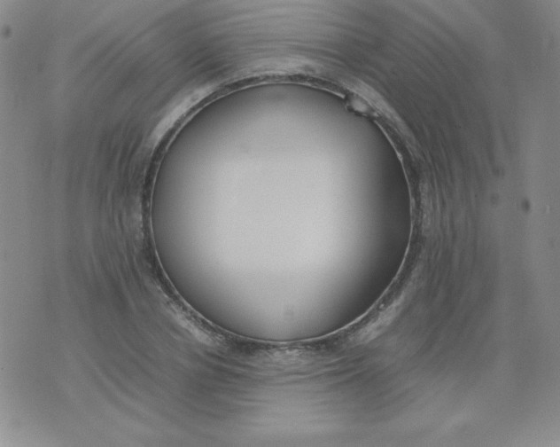 X0000074310834200609152005