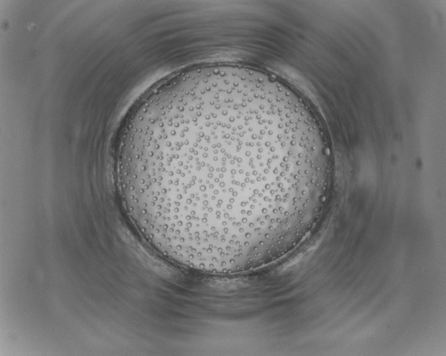 X0000074310835200609152005