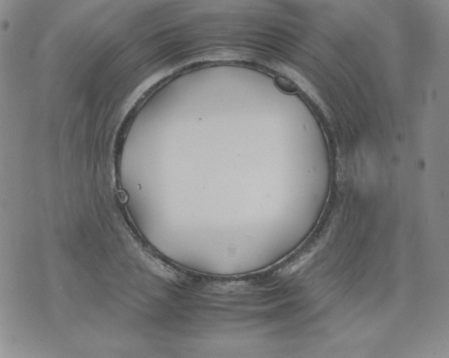 X0000074310837200609152005