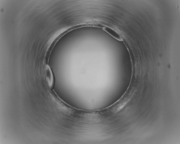 X0000074310838200609152005