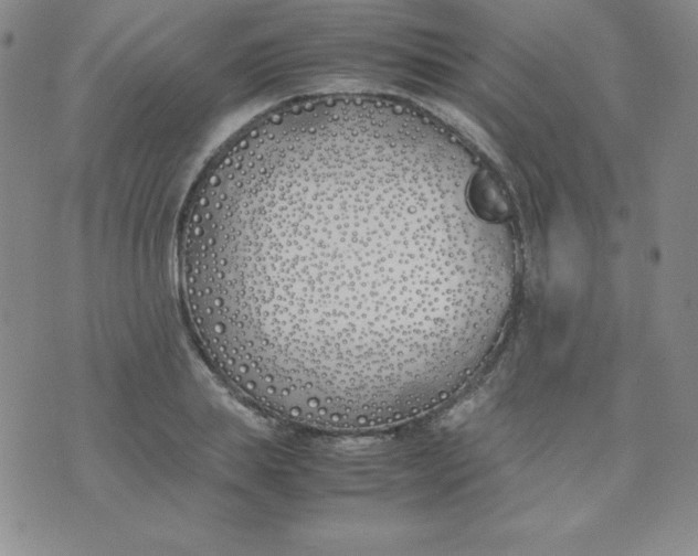 X0000074310839200609152005