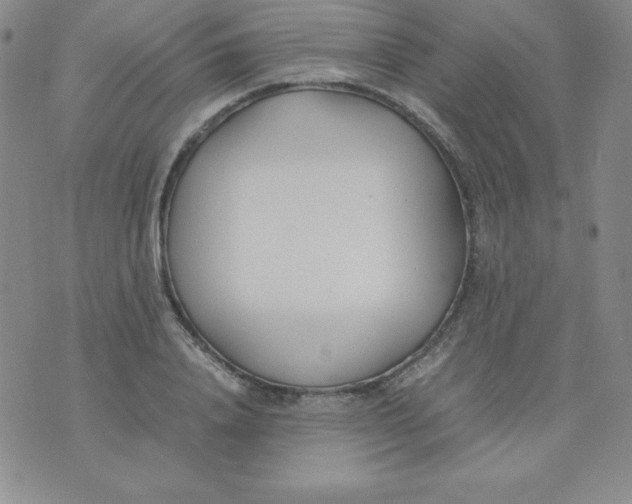 X0000074310840200609152005