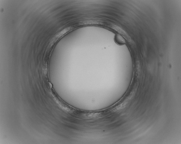 X0000074310841200609152005