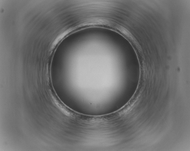 X0000074310842200609152005