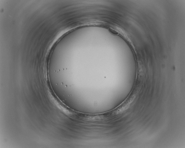 X0000074310843200609152005