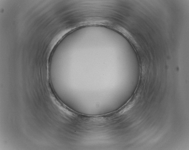 X0000074310844200609152005