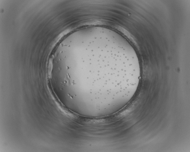 X0000074310845200609152005