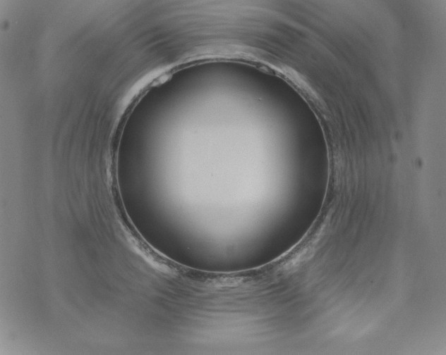 X0000074310846200609152005