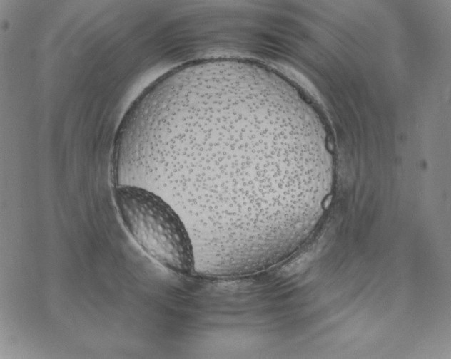 X0000074310847200609152005