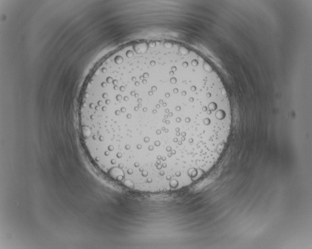 X0000074310848200609152005