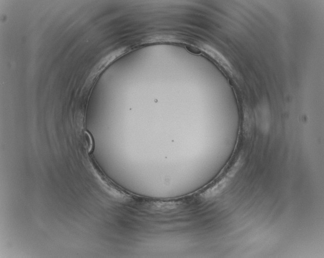 X0000074310849200609152005