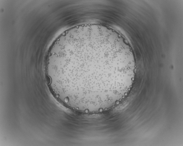 X0000074310851200609152005