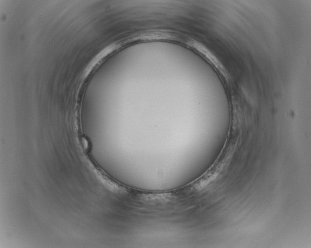 X0000074310853200609152005