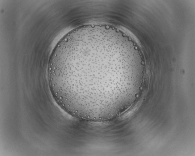 X0000074310855200609152005