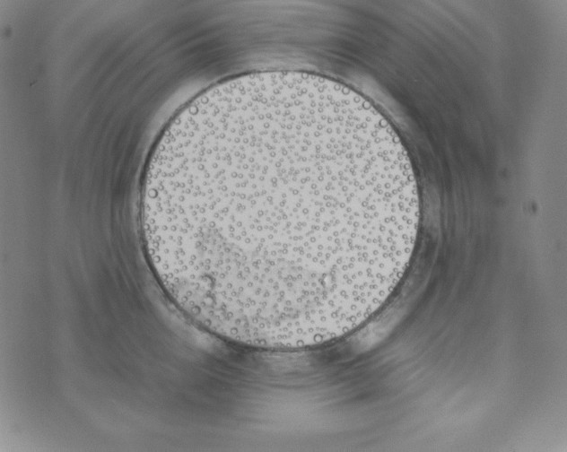 X0000074310856200609152005