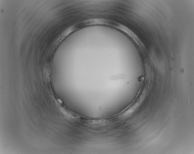 X0000074310857200609152005