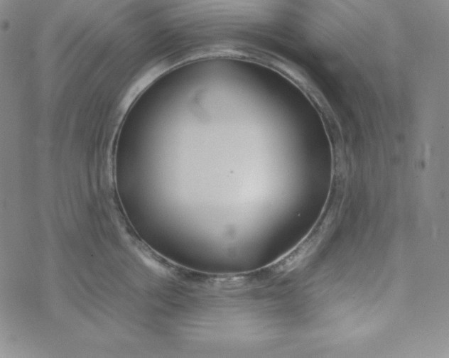 X0000074310858200609152005