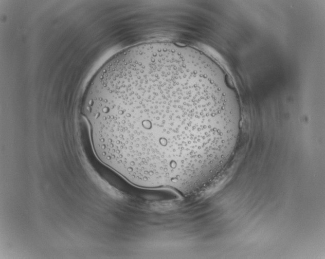 X0000074310859200609152005