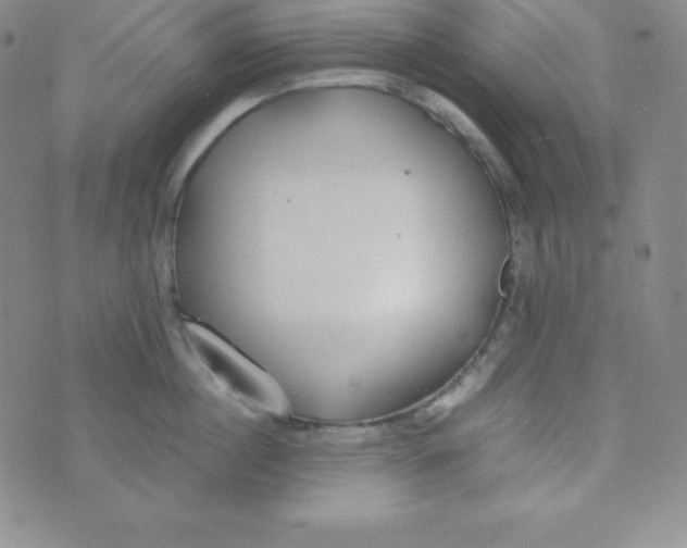 X0000074310860200609152005