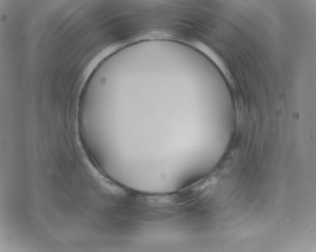 X0000074310861200609152005