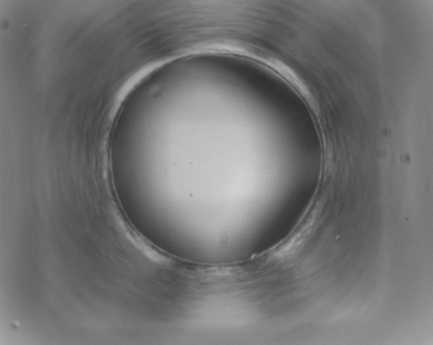 X0000074310862200609152005