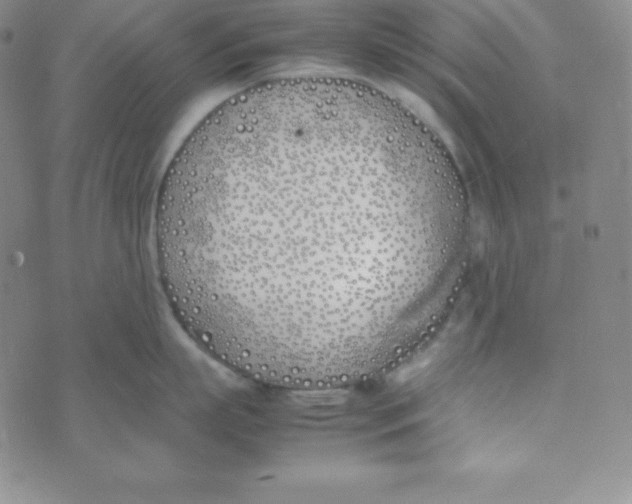 X0000074310863200609152005